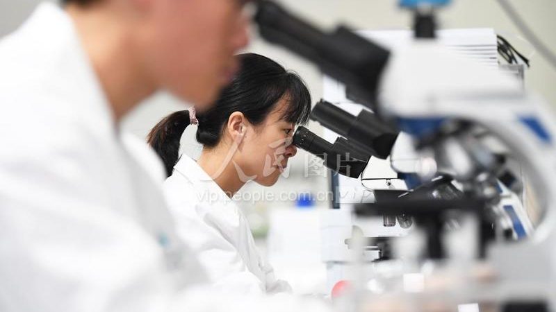 PCR检测试剂配制步骤详解：从准备到应用的关键环节