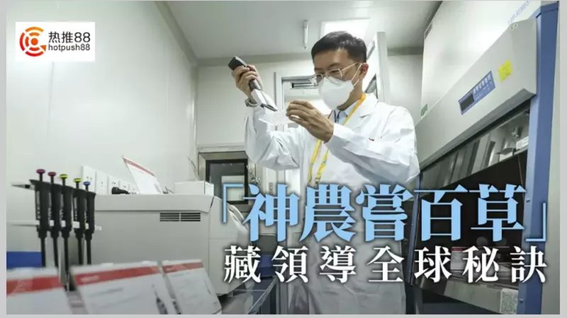 国产移液器：揭秘其背后的技术实力与市场格局**
