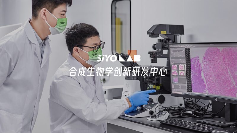 引物HPLC纯化OD值规格：解析关键指标与优化策略