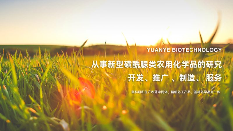 行业现状：生物科技代理加盟市场的多元化