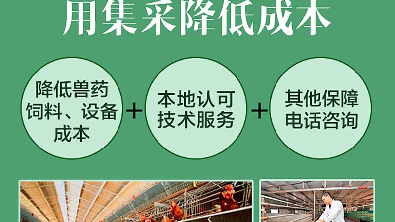 基因解码，价格几何？个人全基因检测市场解析**