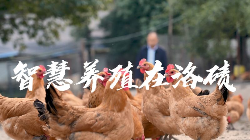 磷酸化抗体：揭秘其研发与市场布局**