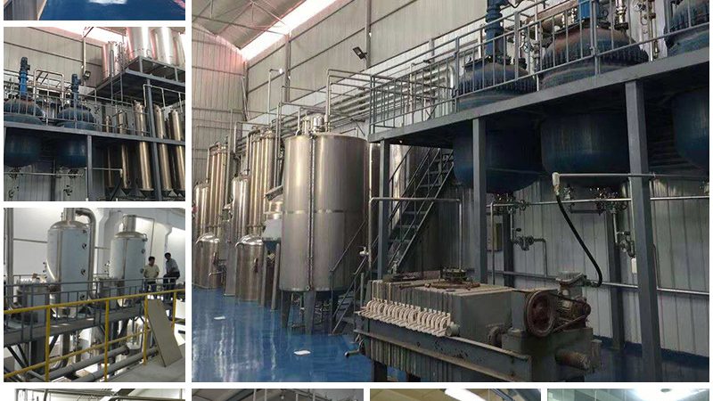 细胞工厂：揭秘其在生物科技领域的价值与价格**