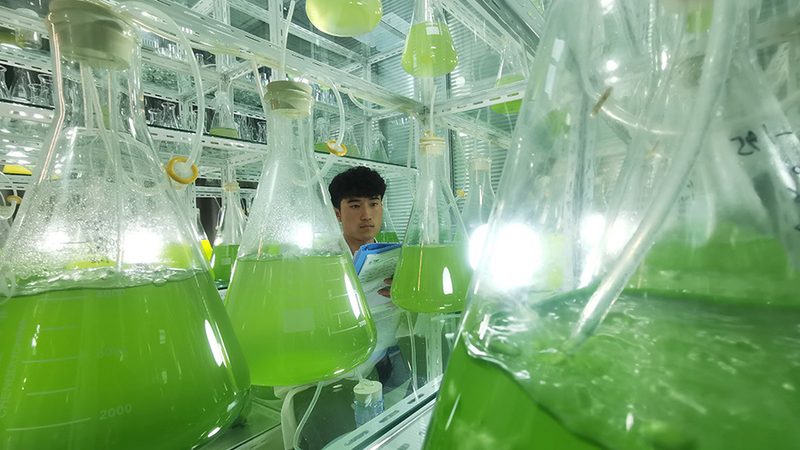 上海CDMO医药研发外包：揭秘医药研发背后的“隐形推手